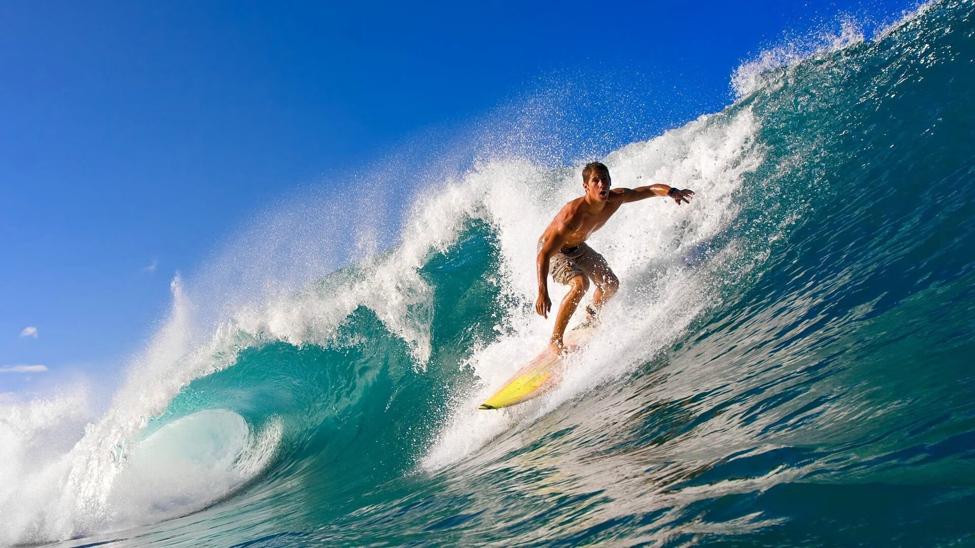 开云官网登录-自由搏击课程走进中学安全教育课堂,自由搏击教学内容